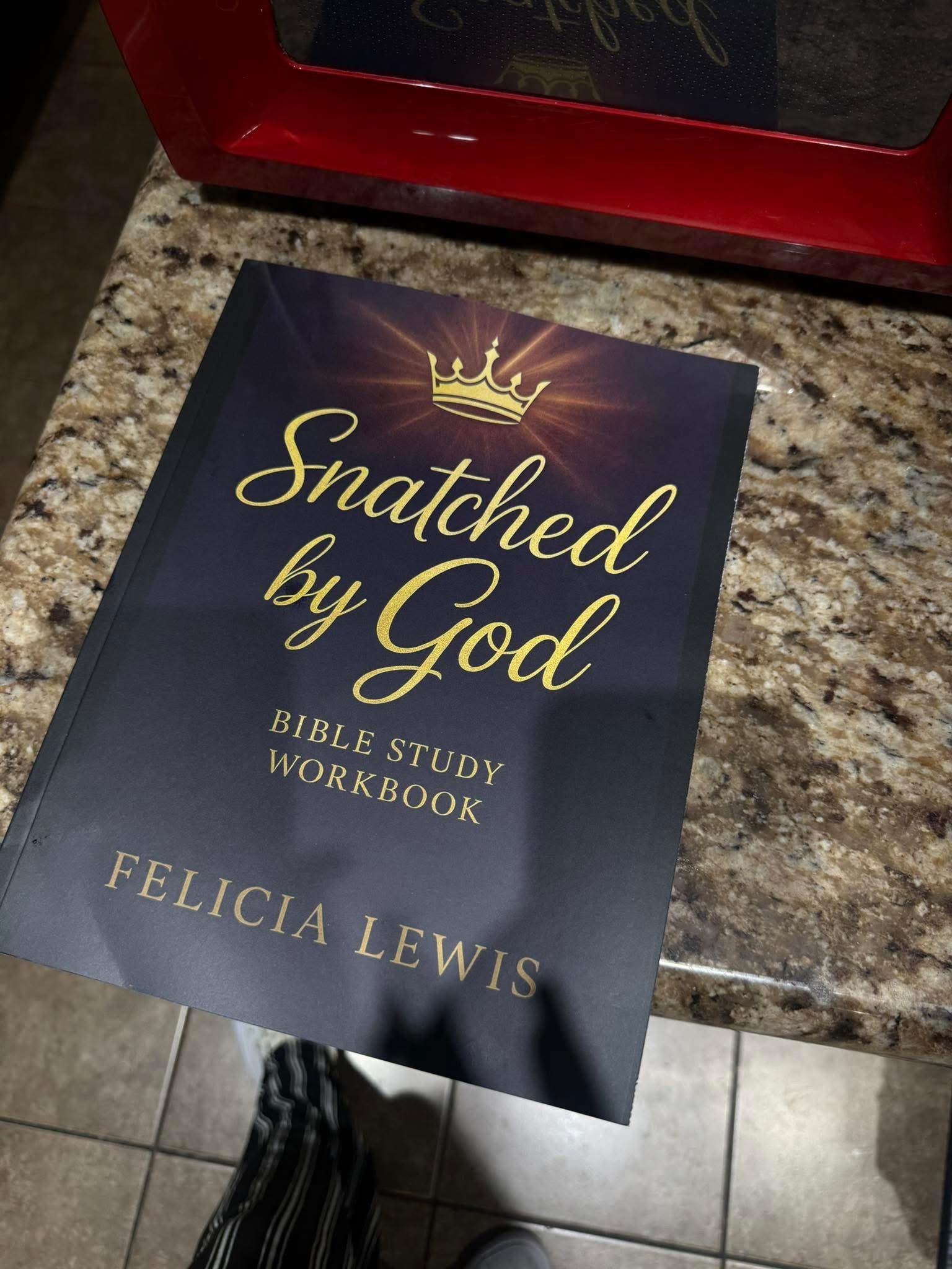 Snatched by God: 30-Day Bible Study Workbook: Discover, Refine, and Live Your God-Given Purpose